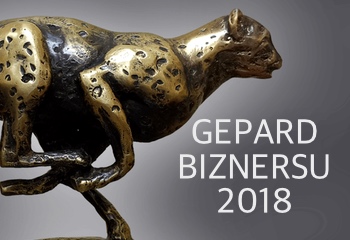 VidiCom Sp. z o.o. Gepardem Biznesu 2018